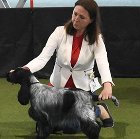 lenmore gems about us 02